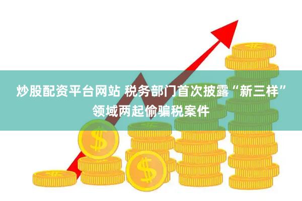 炒股配资平台网站 税务部门首次披露“新三样”领域两起偷骗税案件