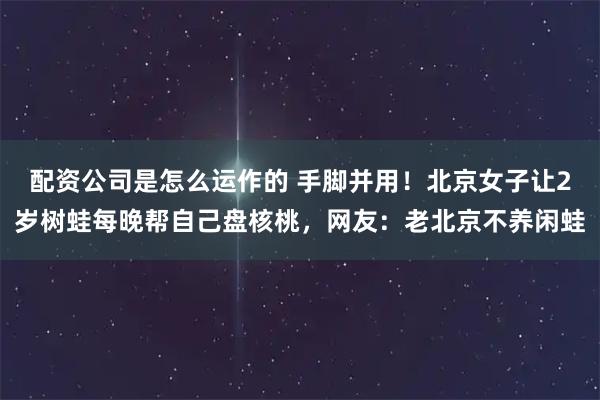 配资公司是怎么运作的 手脚并用！北京女子让2岁树蛙每晚帮自己盘核桃，网友：老北京不养闲蛙